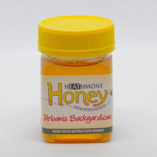 Small sized plastic jar of local hay fever suburban honey to help with your allergy